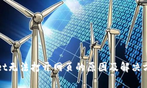 tpWallet无法打开网页的原因及解决方案分析