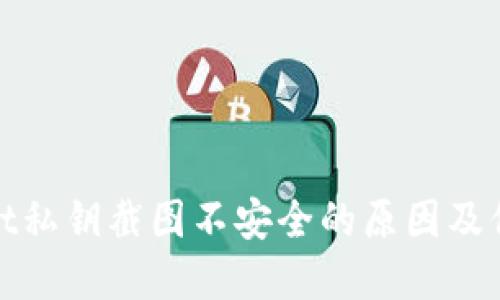 tpWallet私钥截图不安全的原因及保护措施