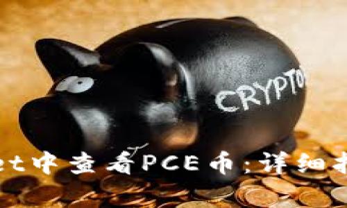 如何在tpWallet中查看PCE币：详细指南与使用技巧
