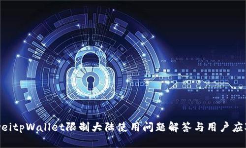 bianweitpWallet限制大陆使用问题解答与用户应对策略