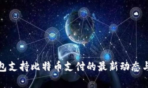 Steam钱包支持比特币支付的最新动态与玩家反响