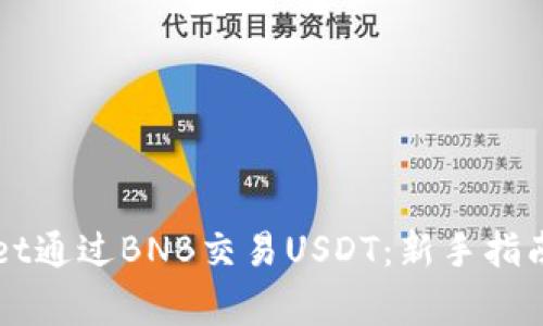 如何使用tpWallet通过BNB交易USDT：新手指南及常见问题解析