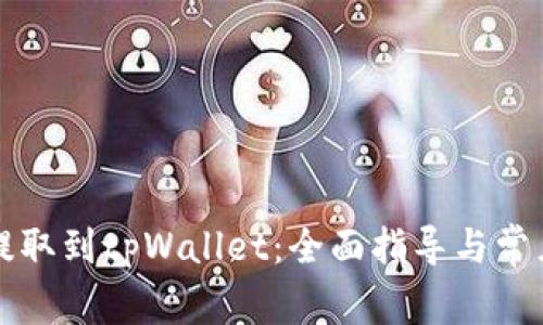 火币怎么提取到tpWallet：全面指导与常见问题解析