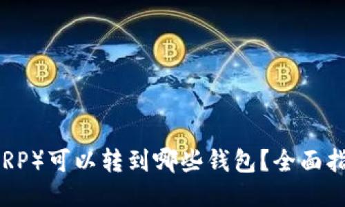 瑞波币（XRP）可以转到哪些钱包？全面指南与推荐