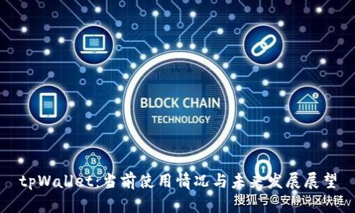 tpWallet：当前使用情况与未来发展展望
