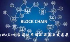 tpWallet：当前使用情况与未