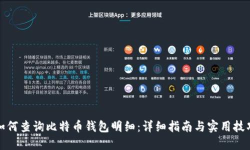 如何查询比特币钱包明细：详细指南与实用技巧