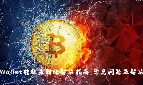 : tpWallet转账未到账解决指南：常见问题及解决方法