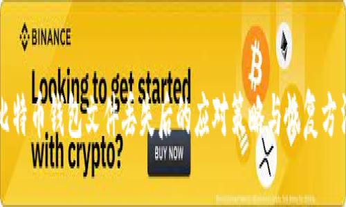 比特币钱包文件丢失后的应对策略与恢复方法