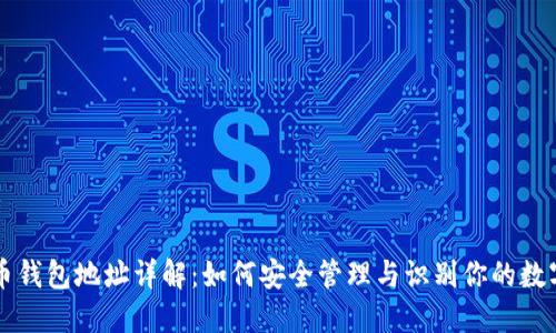 比特币钱包地址详解:如何安全管理与识别你的数字资产