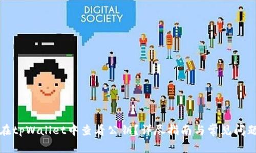 如何在tpWallet中查看公钥？详尽指南与常见问题解答