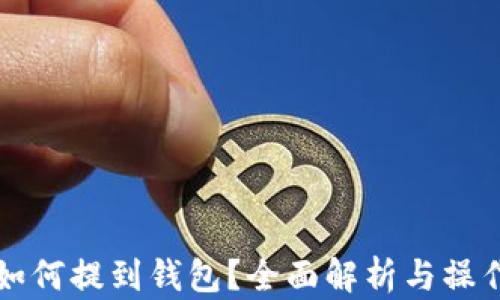 
屎币如何提到钱包？全面解析与操作指南