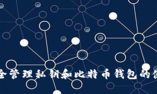 如何安全管理私钥和比特币钱包的使用指南