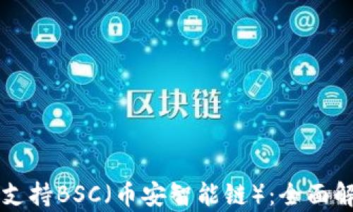 tpWallet如何支持BSC(币安智能链):全面解析与使用指南