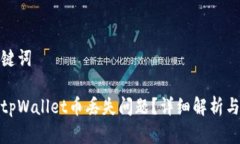 思考和关键词如何解决tpWallet币丢失问题？详细解