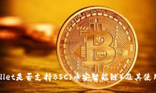 tpWallet是否支持BSC(币安智能链)及其使用指南