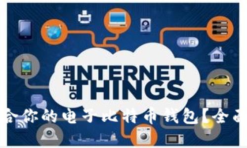 如何选择适合你的电子比特币钱包？全面指南与推荐