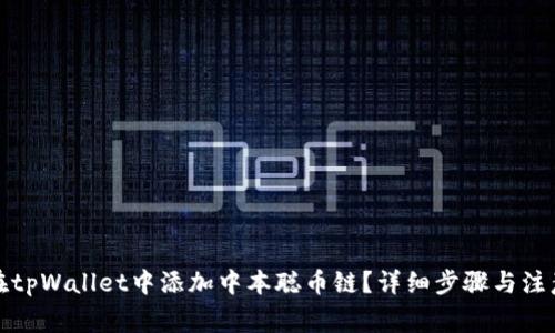 如何在tpWallet中添加中本聪币链？详细步骤与注意事项